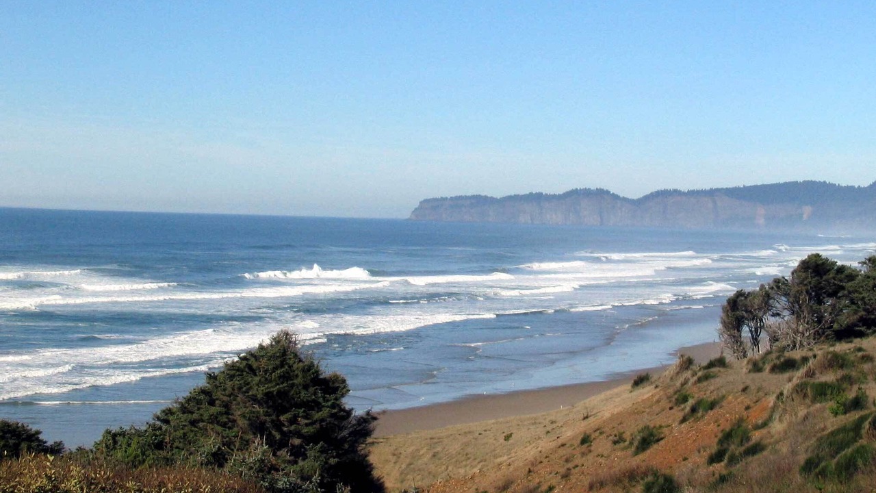 Photo of Others in Tierra Del Mar