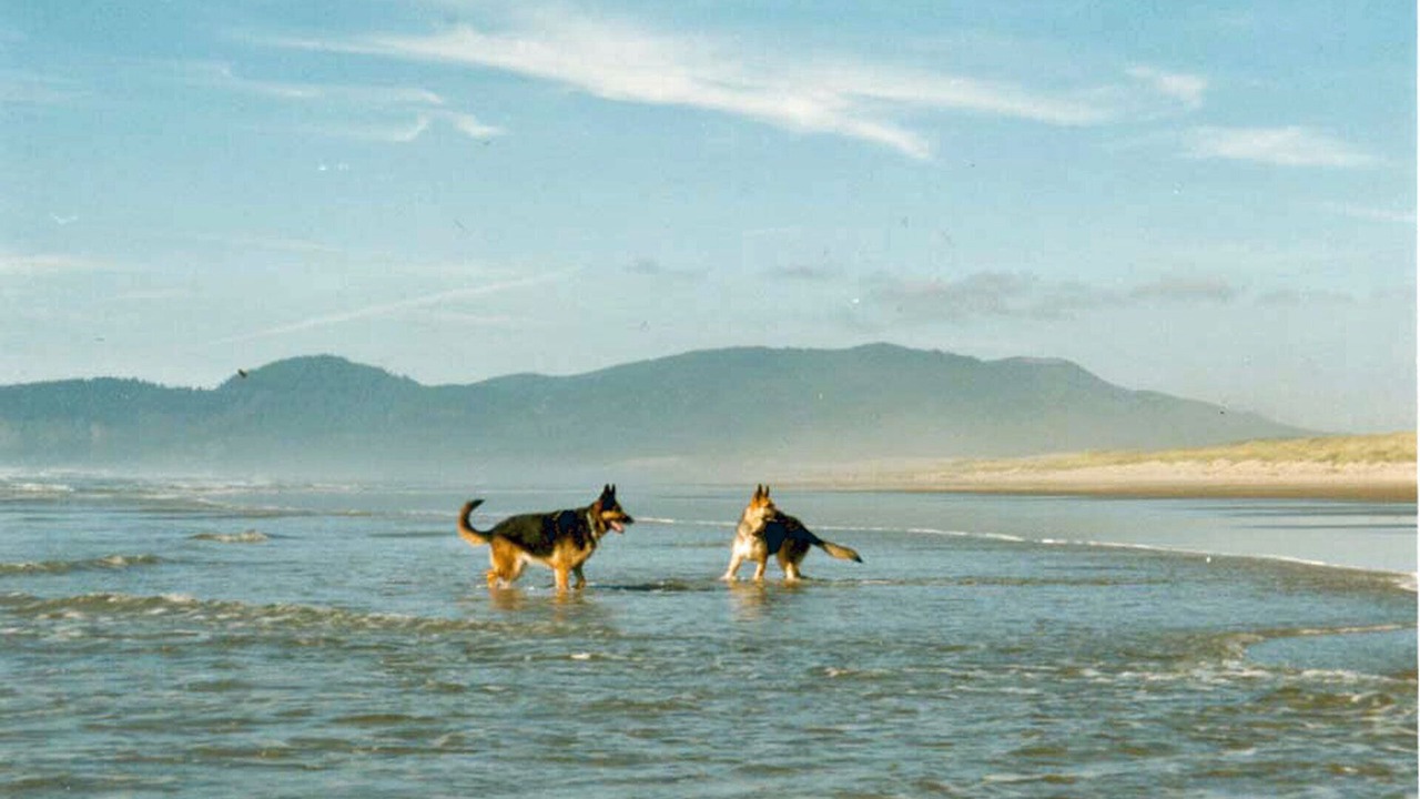 Photo of Others in Tierra Del Mar
