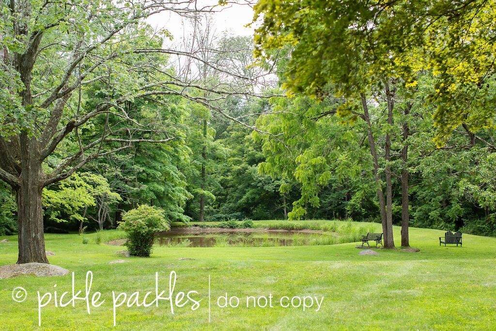 Photo of Outdoor in Kintnersville