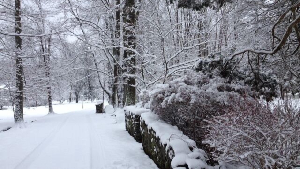 Photo of Outdoor in Kintnersville