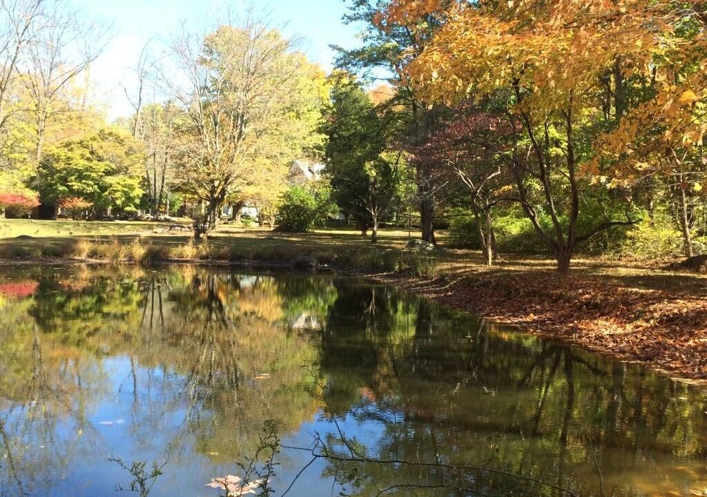 Photo of Outdoor in Kintnersville