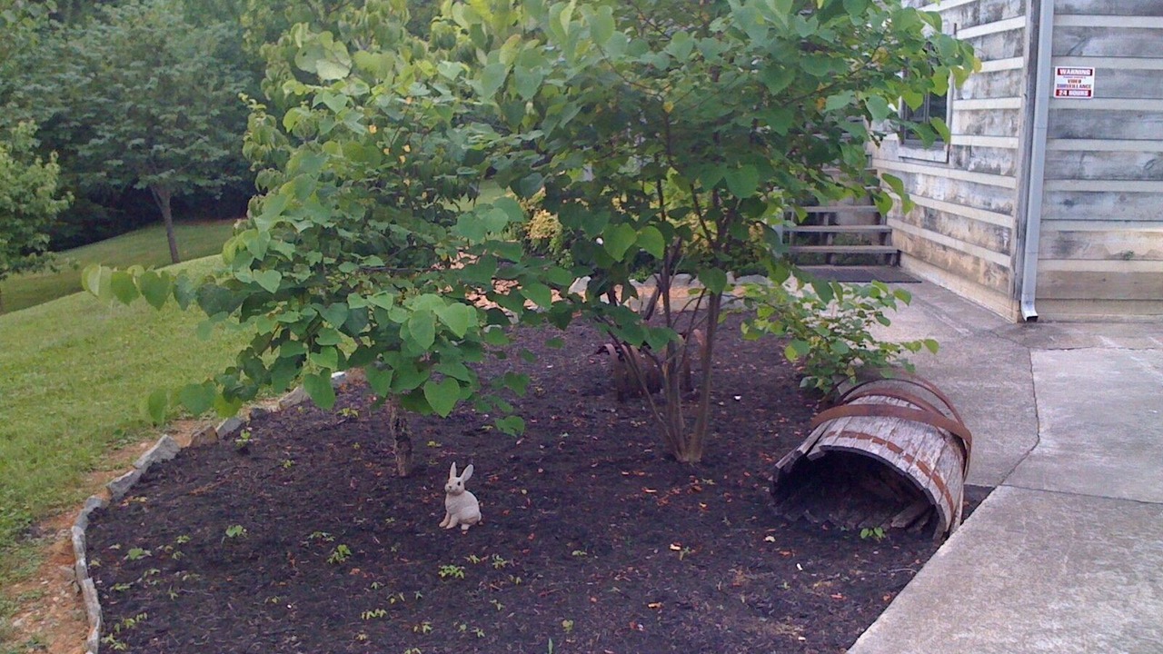Photo of Outdoor in Townsend