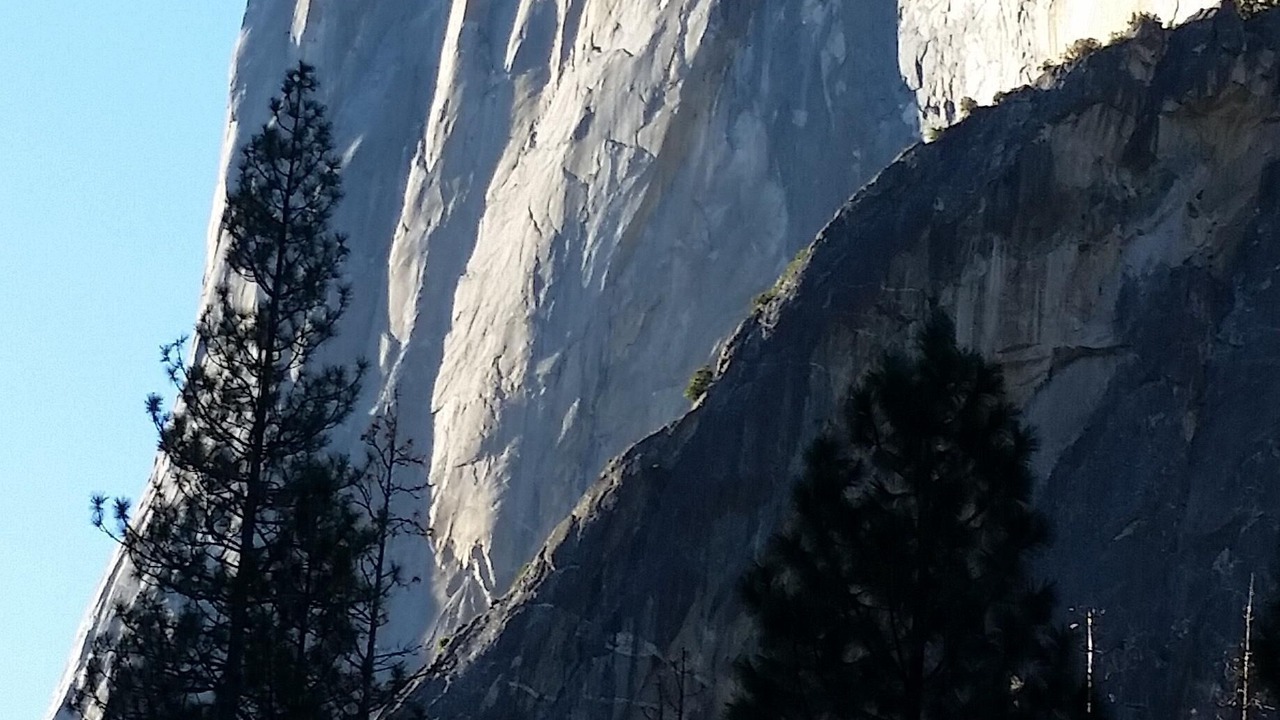 Photo of Others in Yosemite National Park