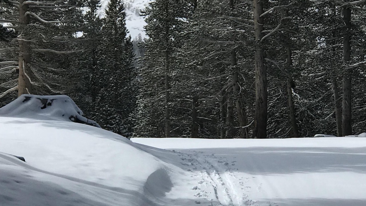 Photo of Outdoor in Yosemite National Park