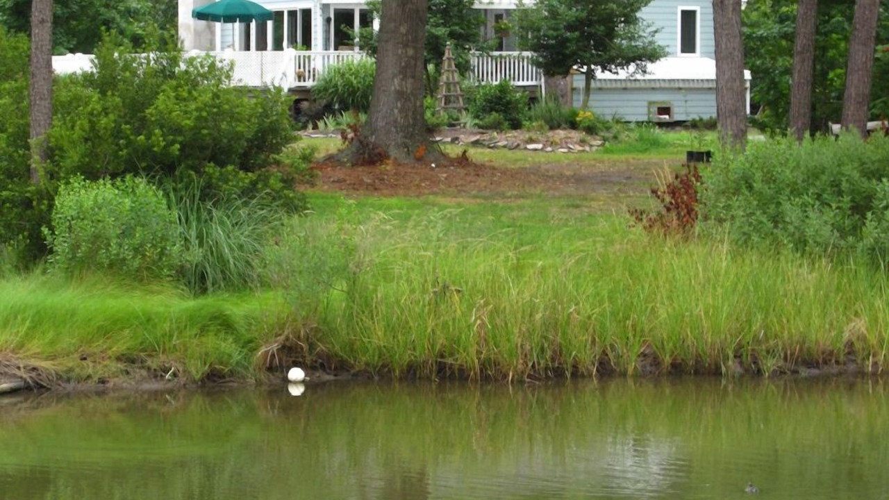 Photo of Outdoor in Deltaville