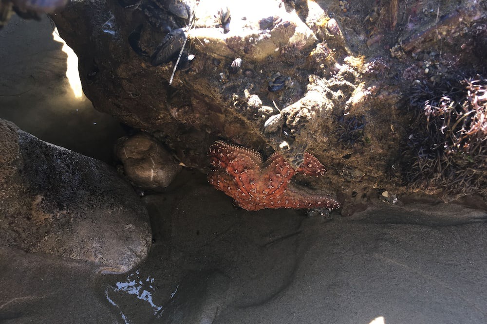 Photo of Others in Eastern Malibu