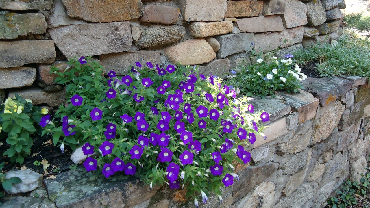 Photo of Outdoor in Boulder