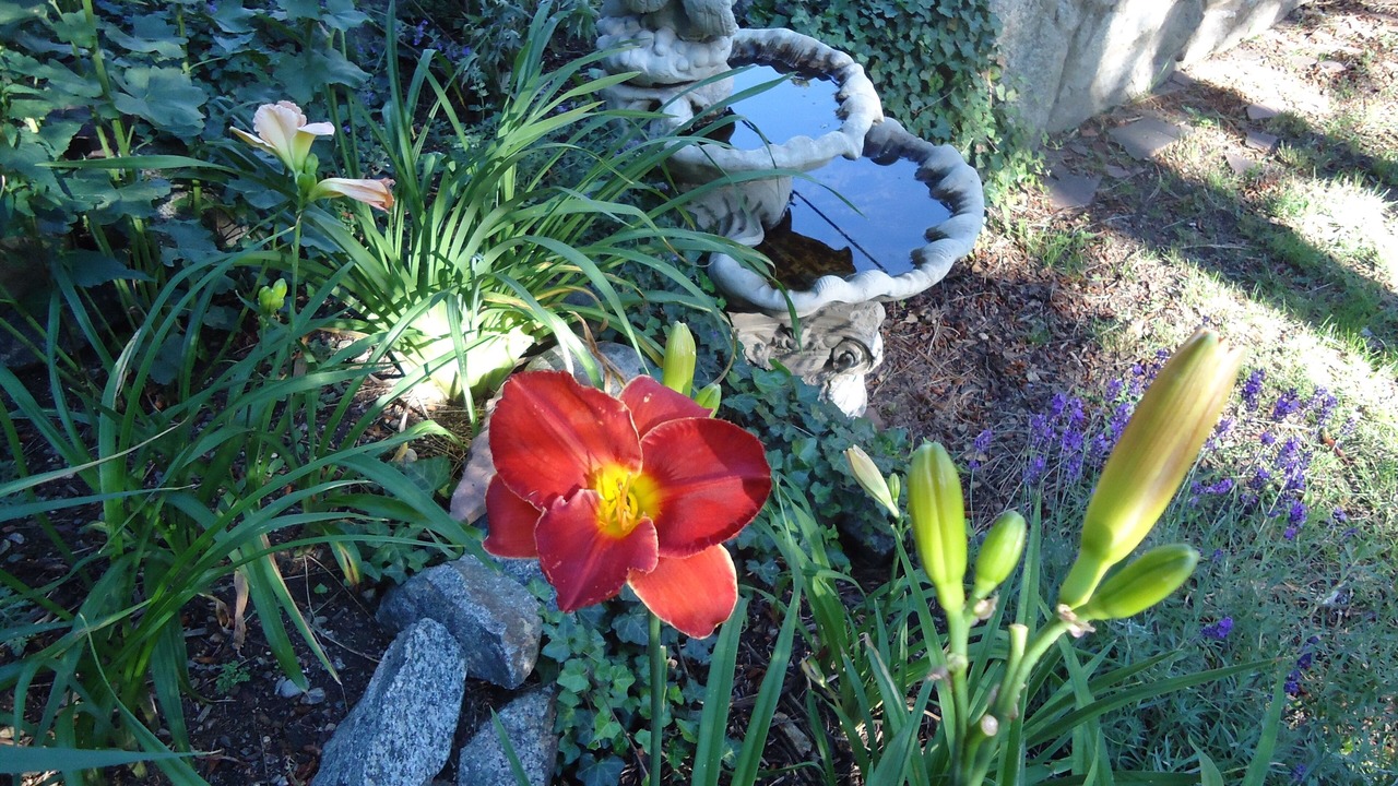 Photo of Outdoor in Boulder