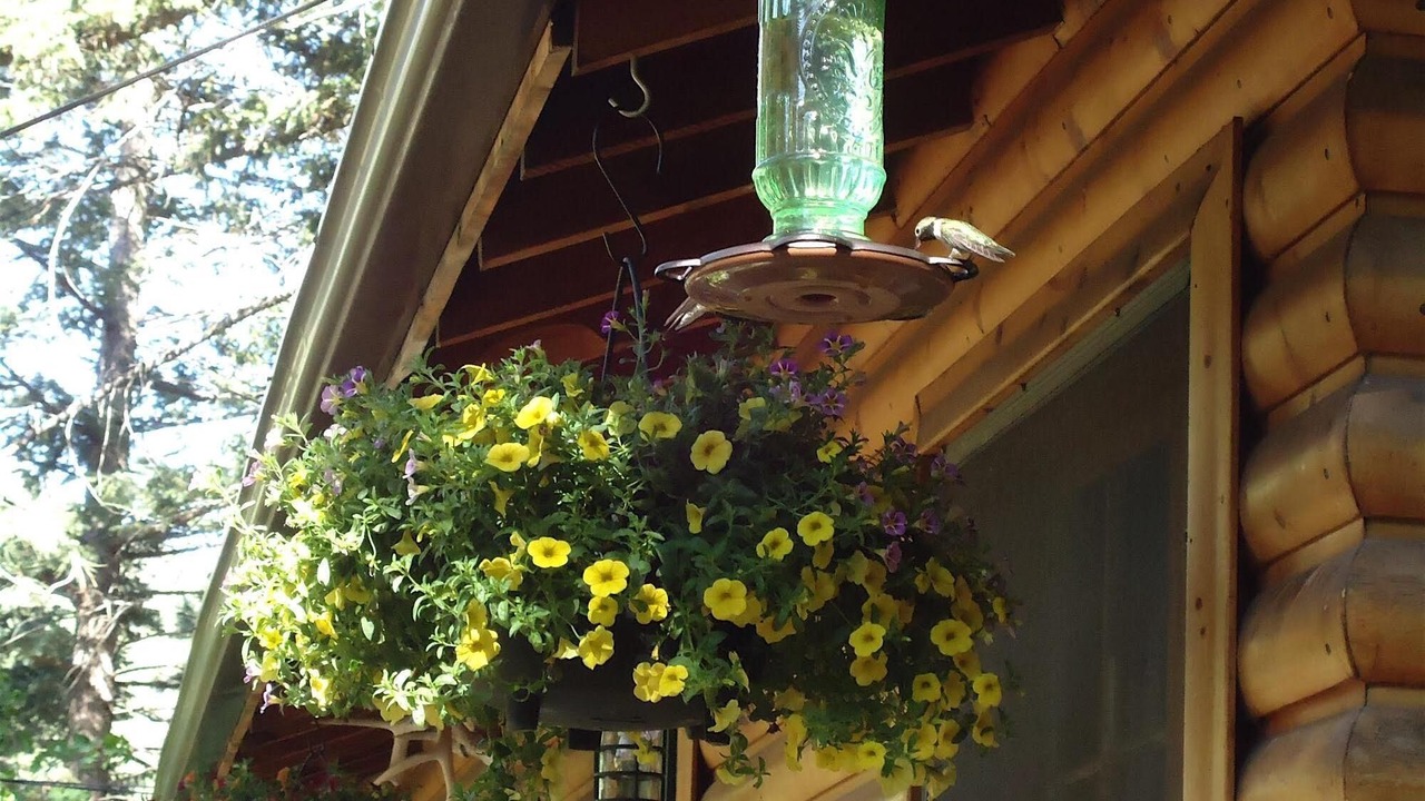 Photo of Outdoor in Boulder