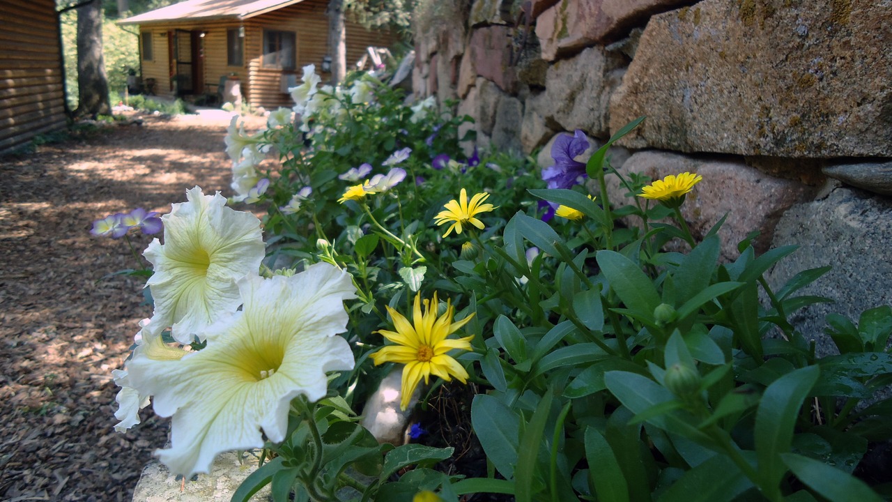 Photo of Outdoor in Boulder