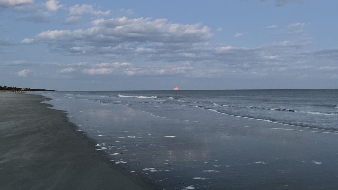 Photo of Others in Beach Lagoon