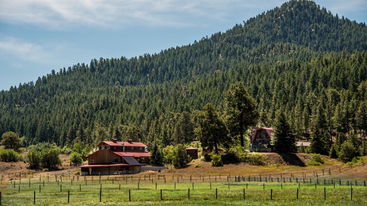 Photo of Outdoor in Pagosa Springs