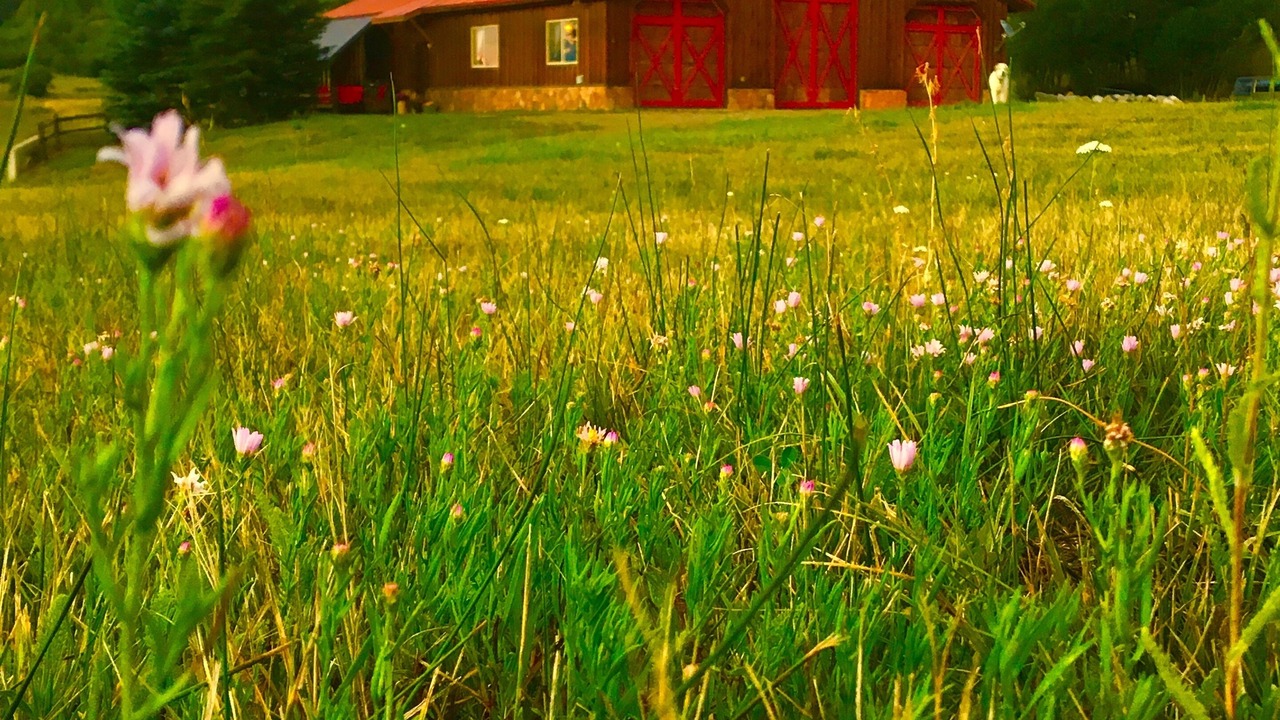 Photo of Outdoor in Pagosa Springs