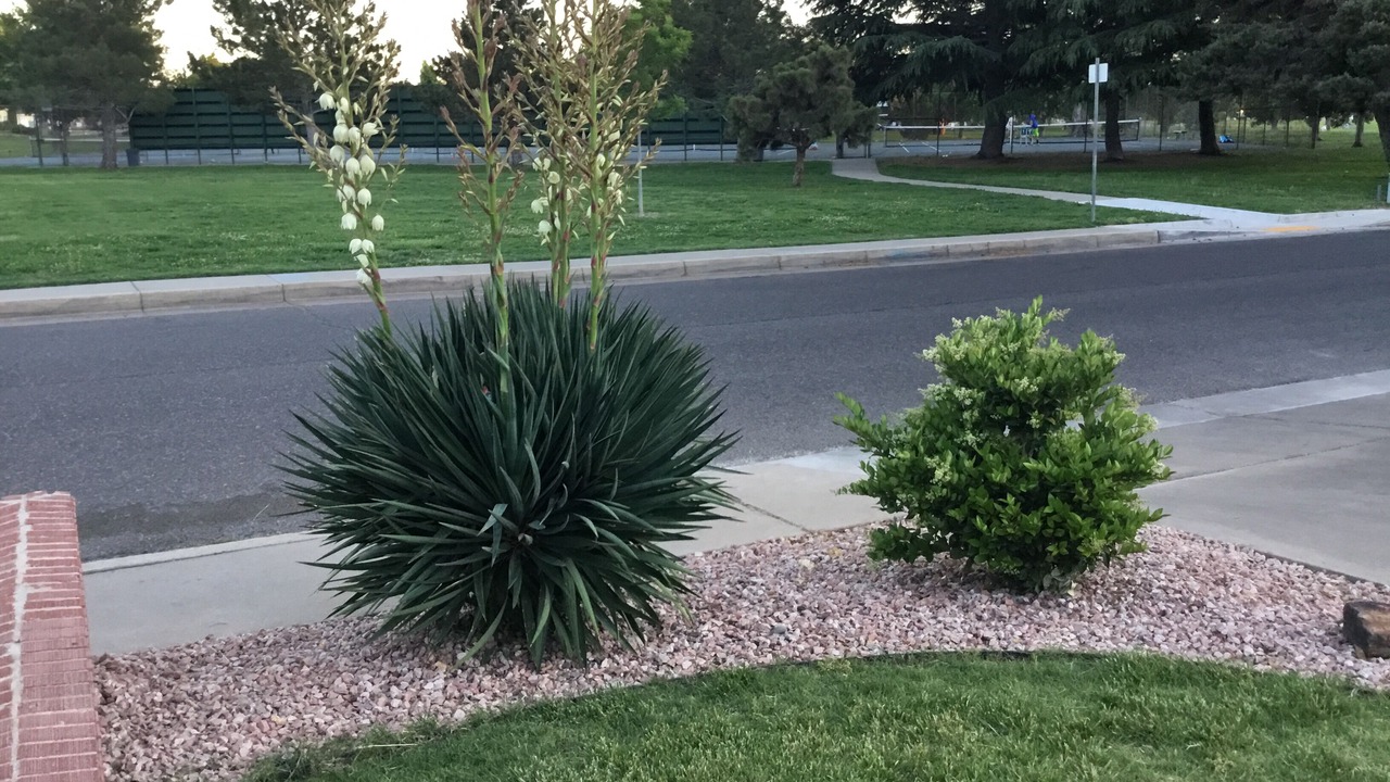 Photo of Outdoor in Montgomery Park