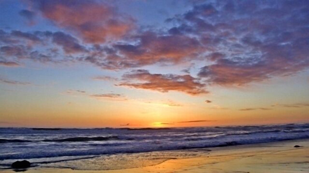 Photo of Others in Lincoln City