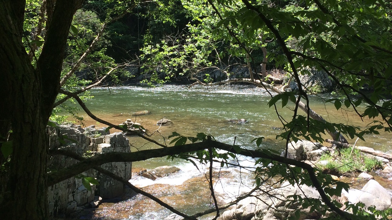 Photo of Outdoor in Mars Hill