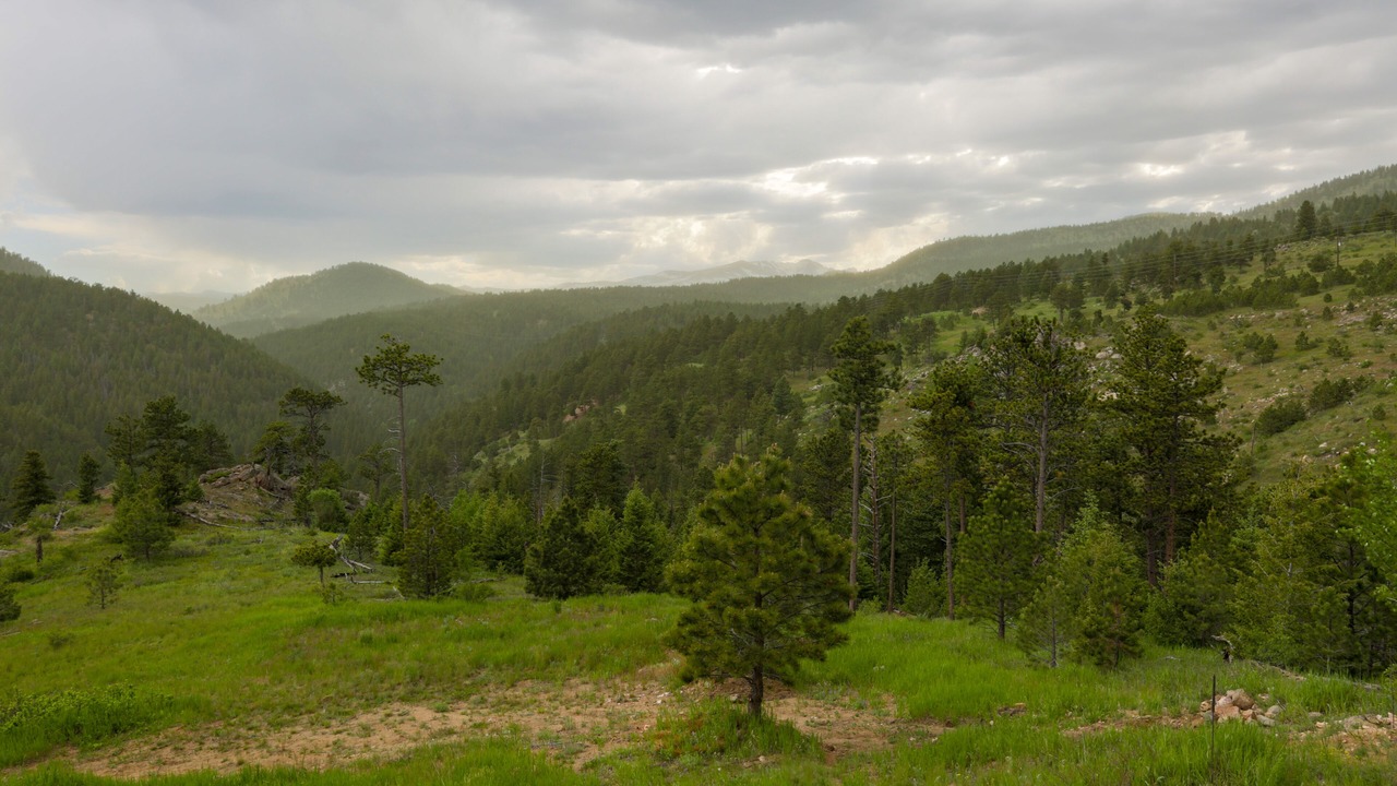 Photo of Others in Sugarloaf