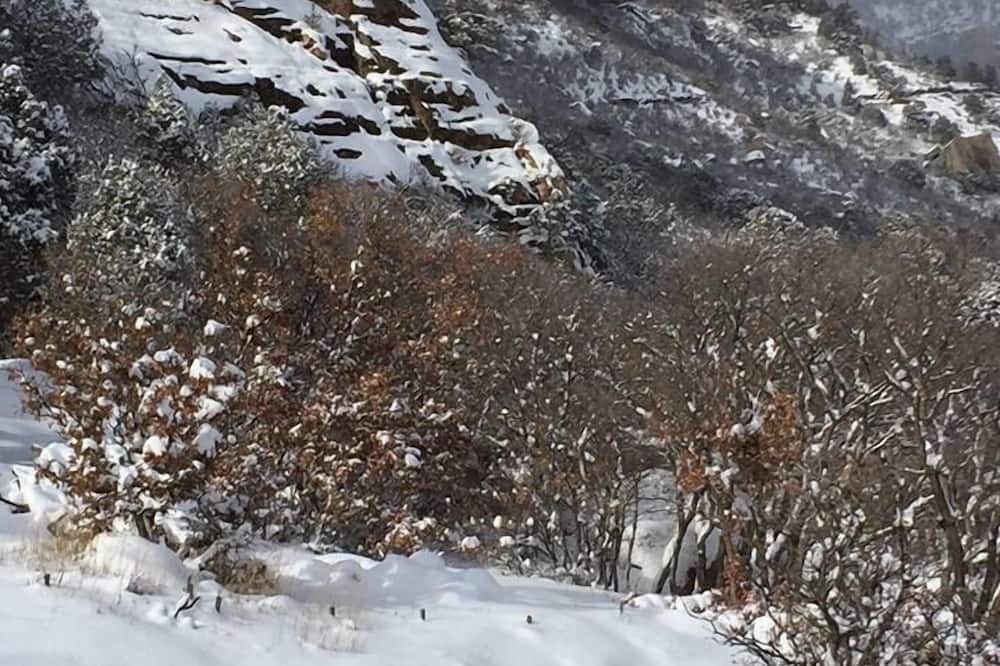 Photo of Outdoor in Durango