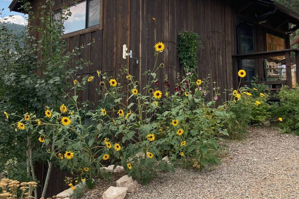 Photo of Outdoor in Durango