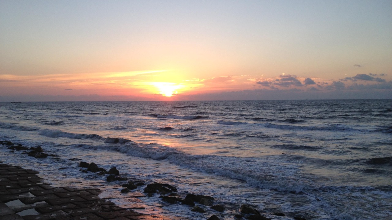 Photo of Others in Galveston