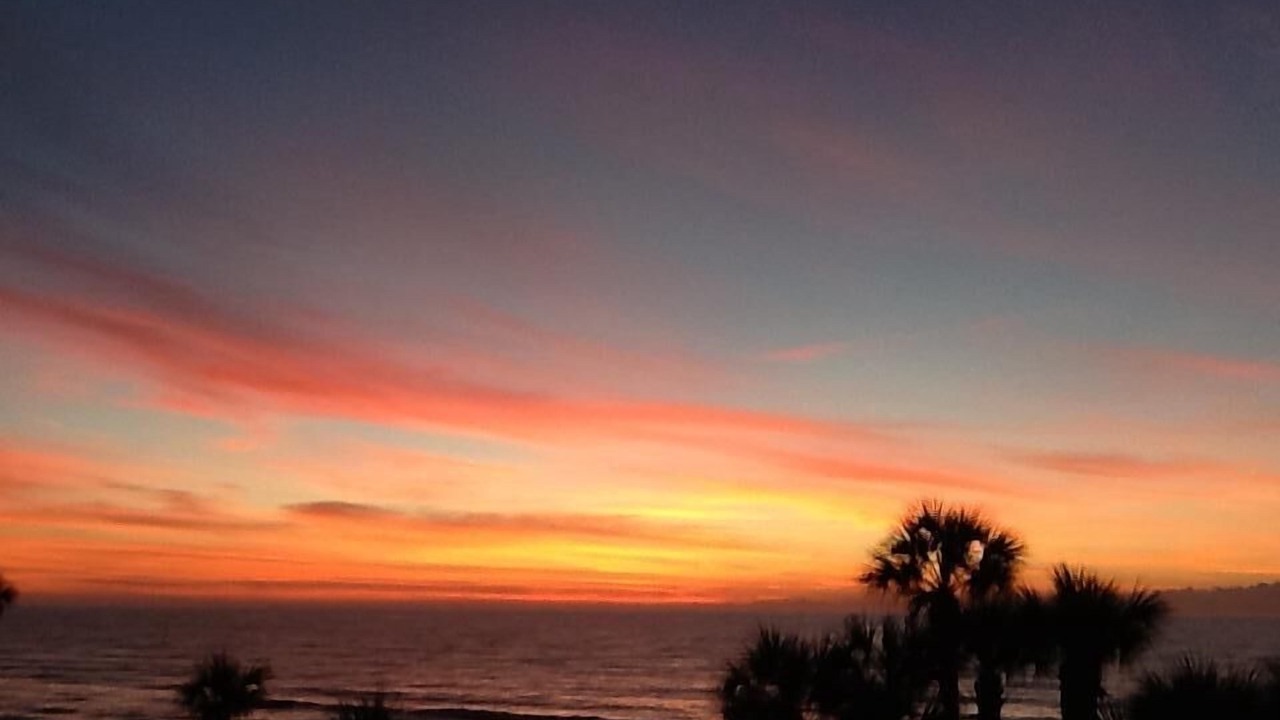 Photo of Others in Galveston