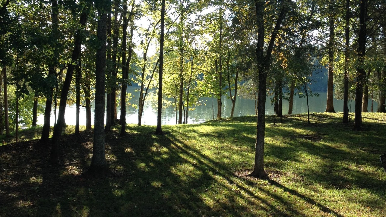 Photo of Outdoor in Castalian Springs
