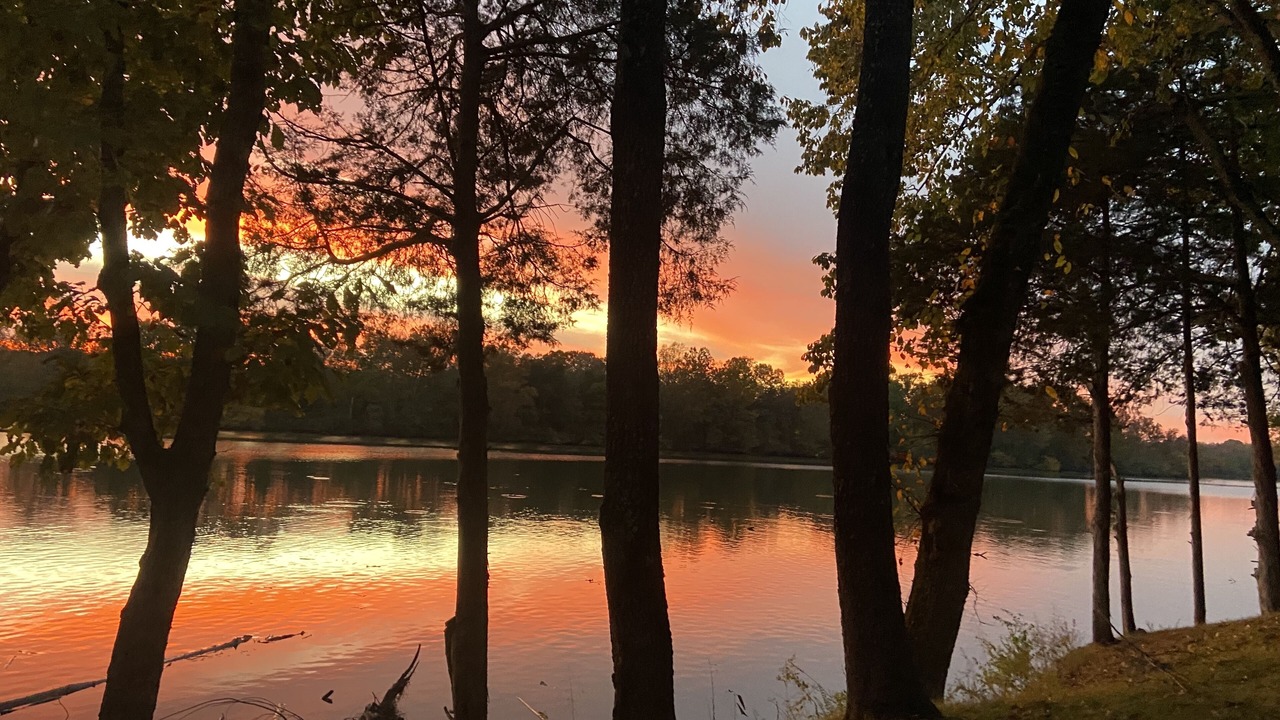 Photo of Outdoor in Castalian Springs
