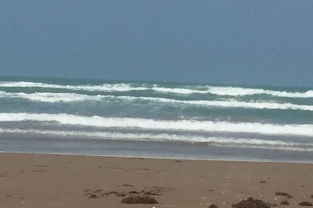 Photo of Others in South Padre Island