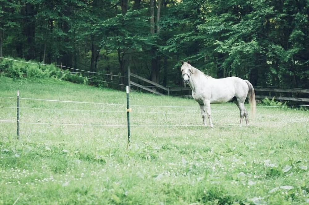 Photo of Others in Lehighton