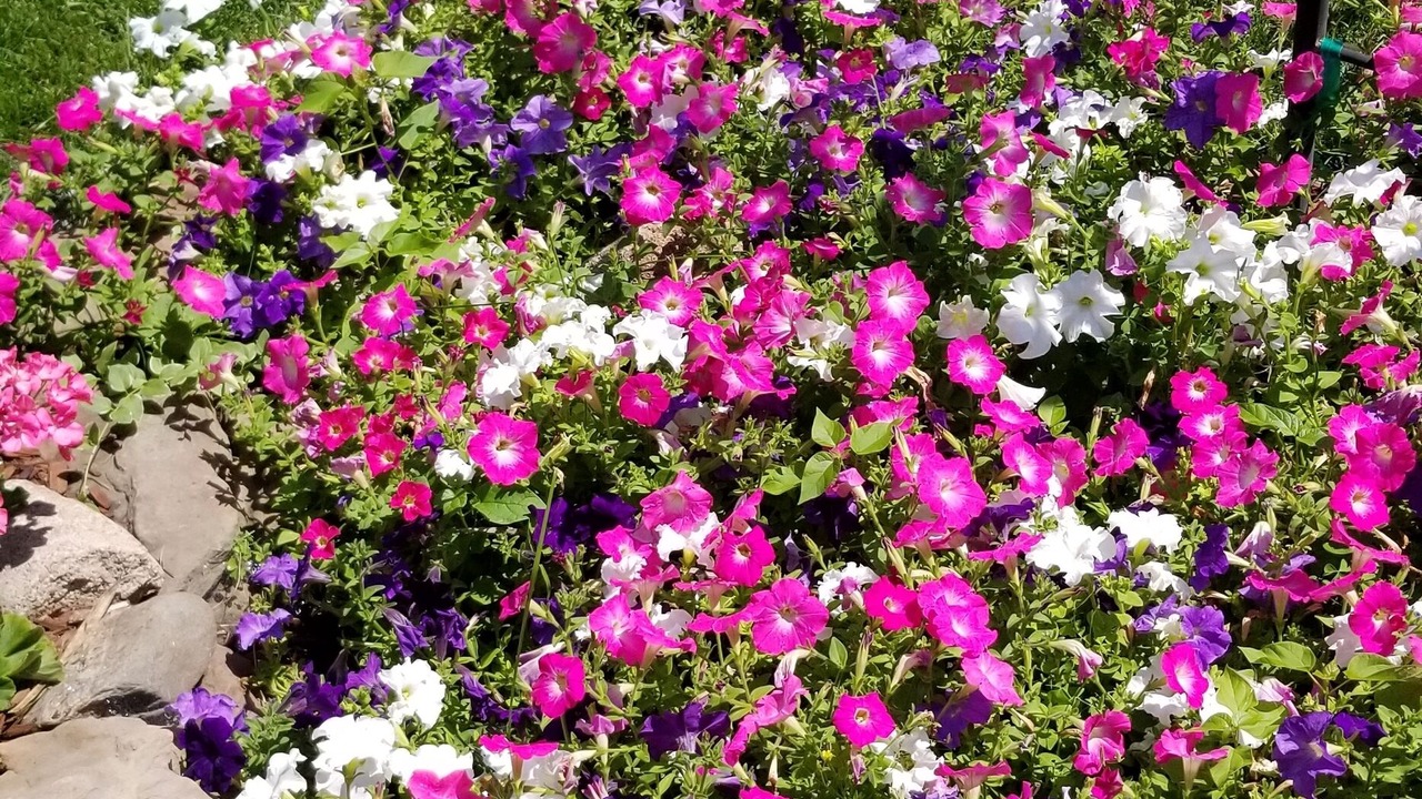Photo of Outdoor in Country Club