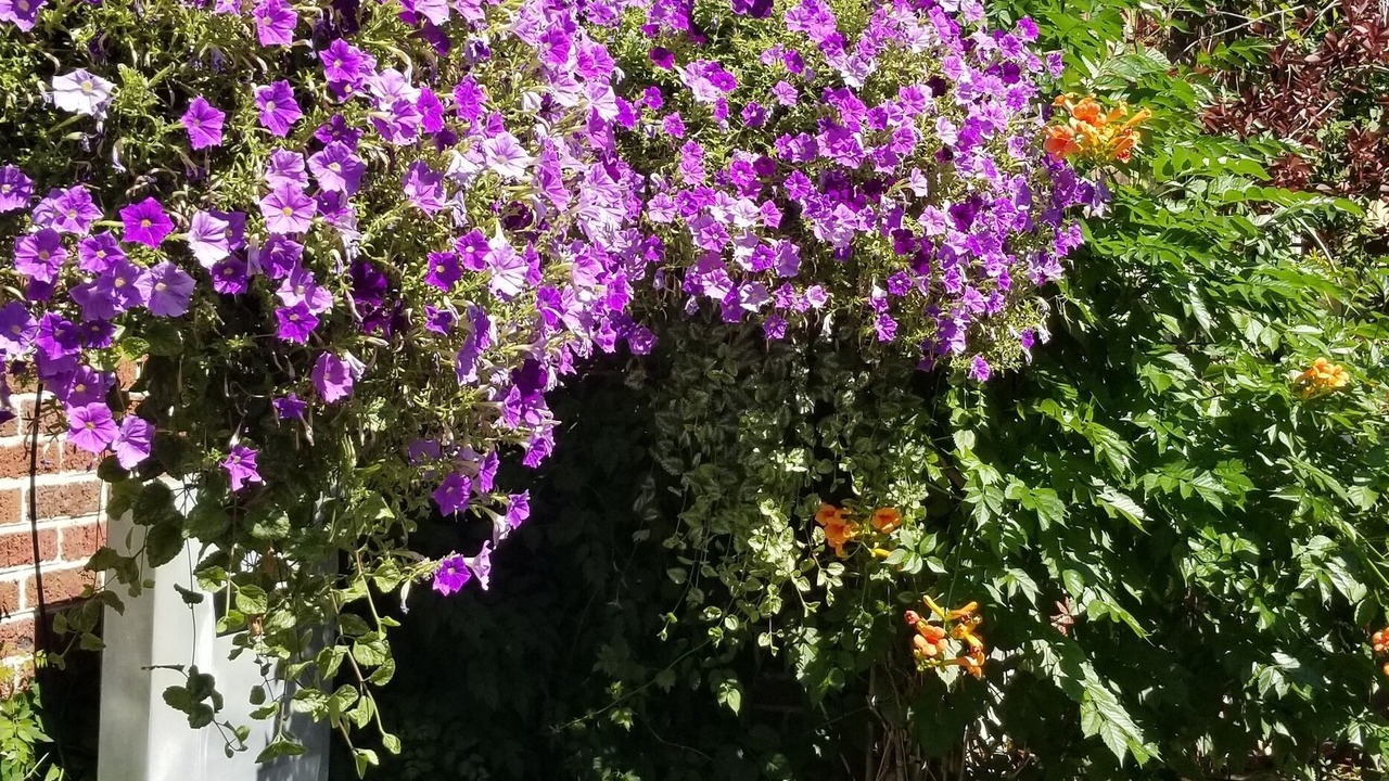 Photo of Outdoor in Country Club
