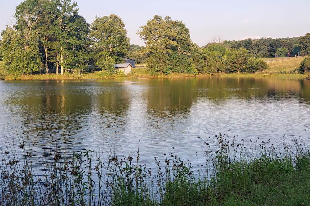 Photo of Outdoor in Spencer