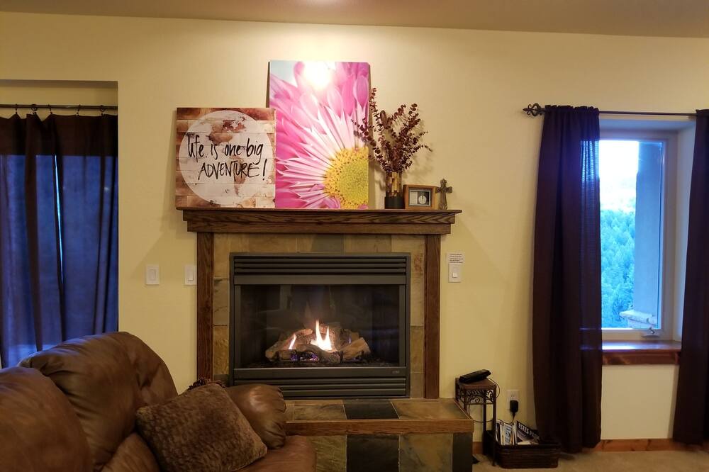 Photo of Livingroom in Homestead