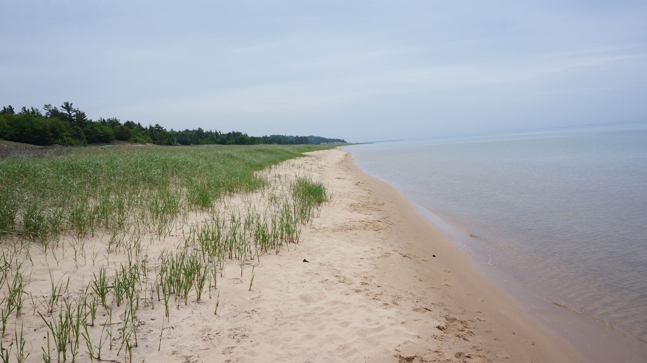 Photo of Others in St Ignace