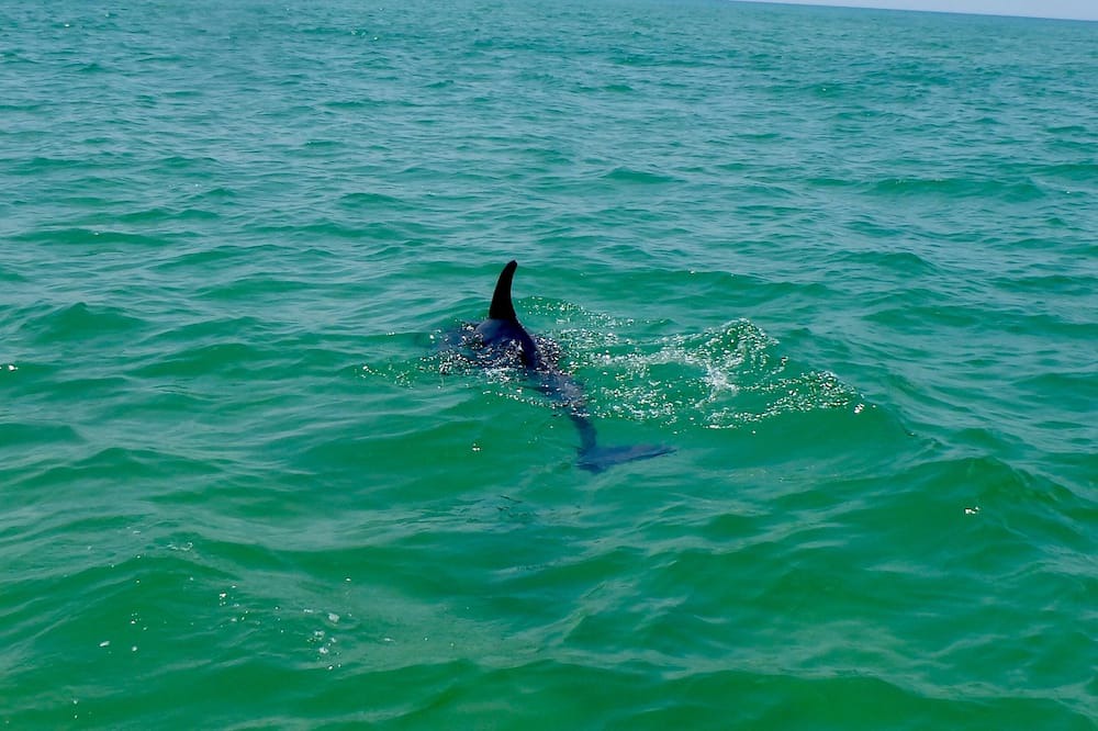 Photo of Others in Navarre Beach