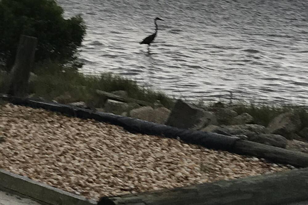 Photo of Others in Navarre Beach