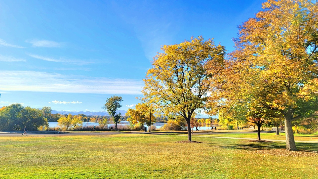 Photo of Others in Athmar Park