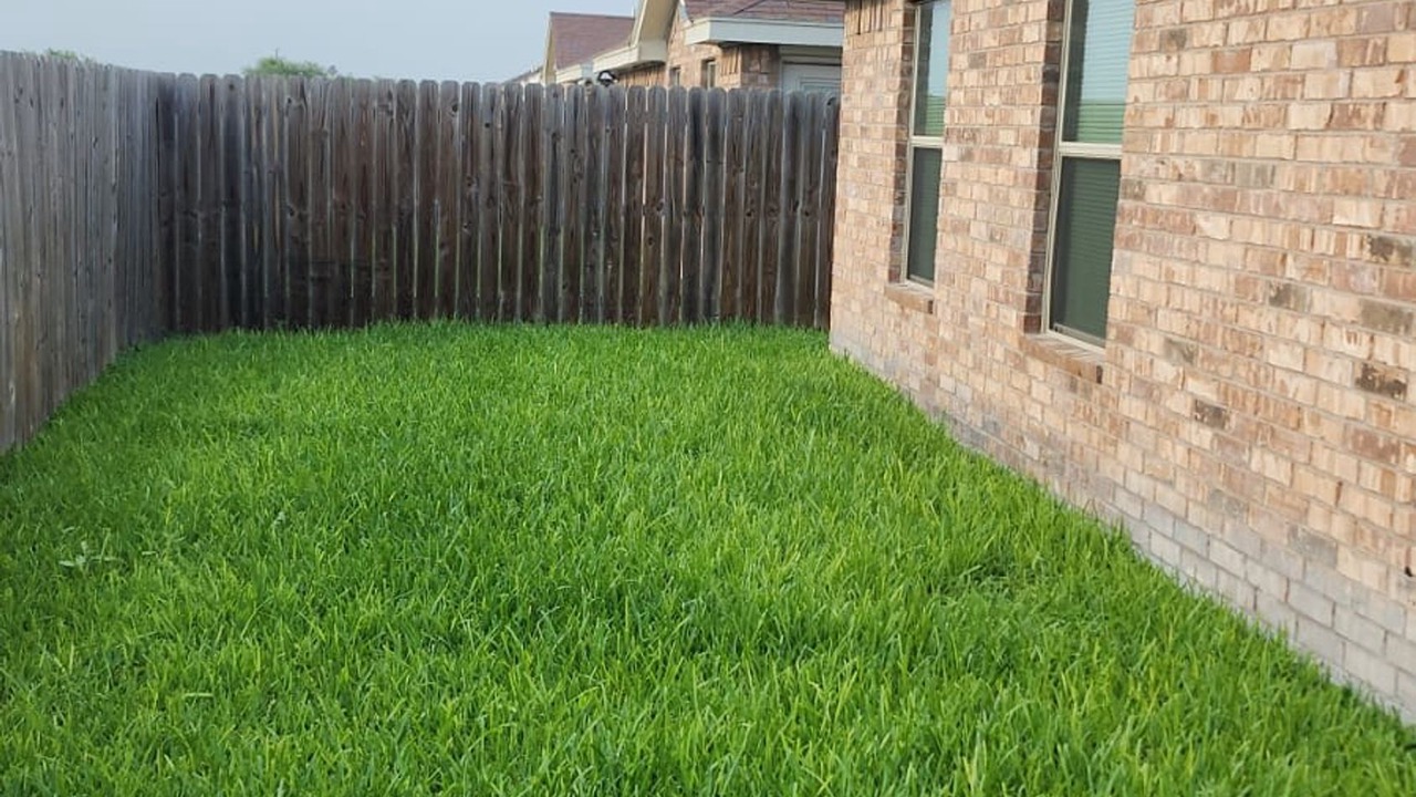 Photo of Others in Edinburg