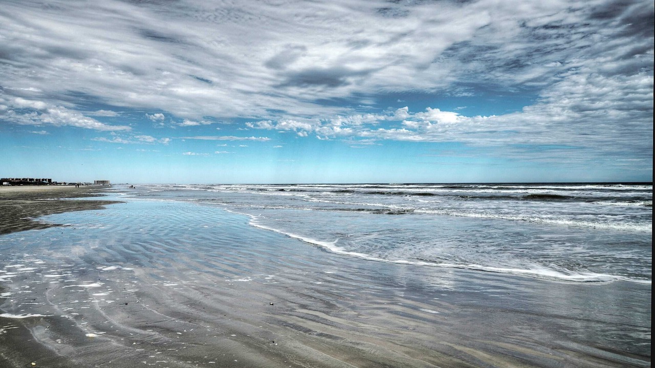 Photo of Others in Port Aransas