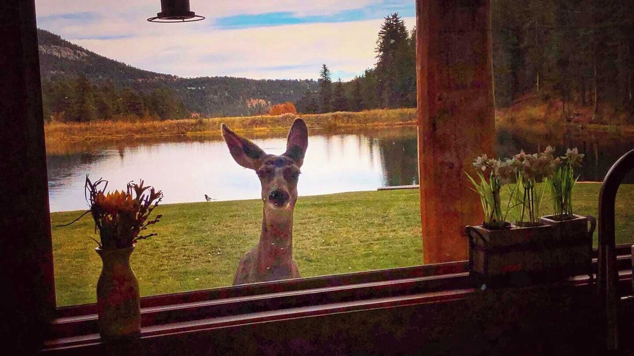 Photo of Others in Green Valley