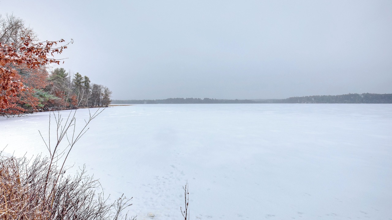 Photo of Others in Rhinelander