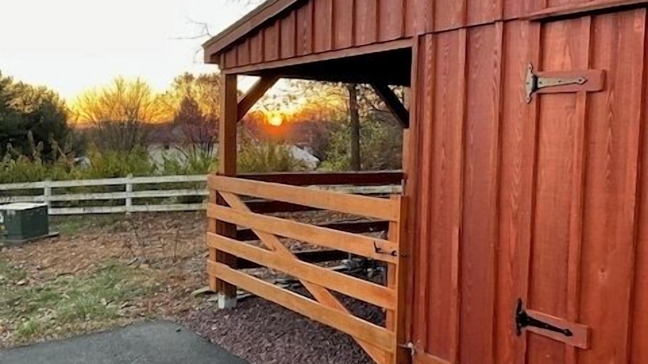 Photo of Outdoor in Elm