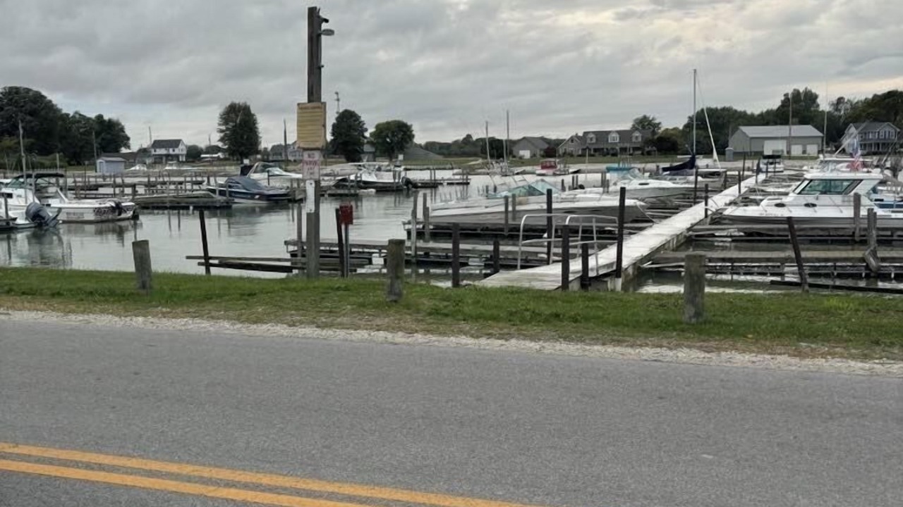Photo of Others in Oak Harbor