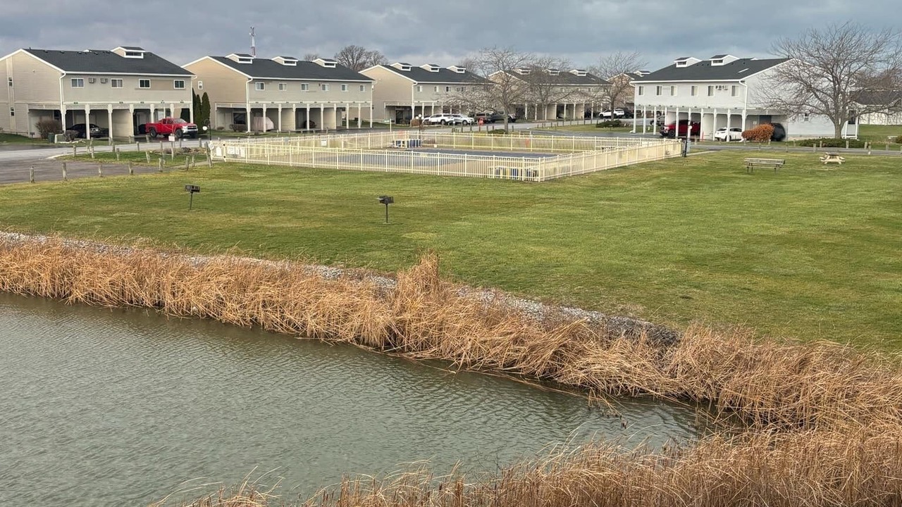 Photo of Outdoor in Oak Harbor