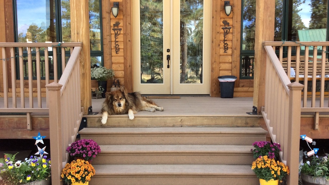 Photo of Outdoor in Pagosa Springs
