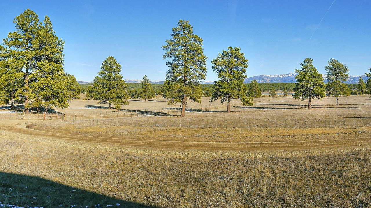 Photo of Bedroom in Pagosa Springs