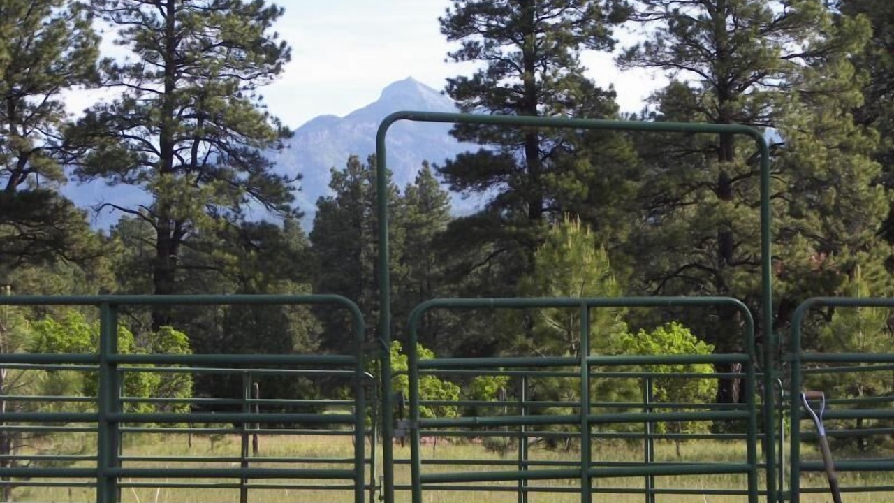 Photo of Outdoor in Pagosa Springs