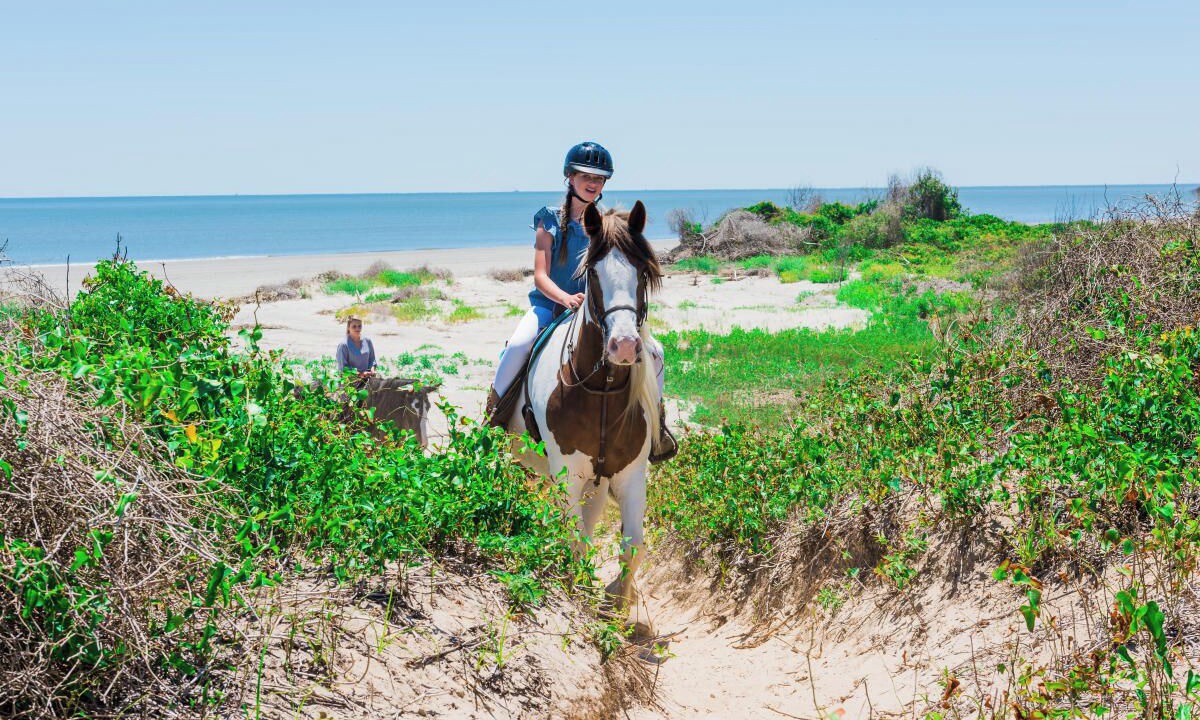 Photo of Others in Saint Simons Island