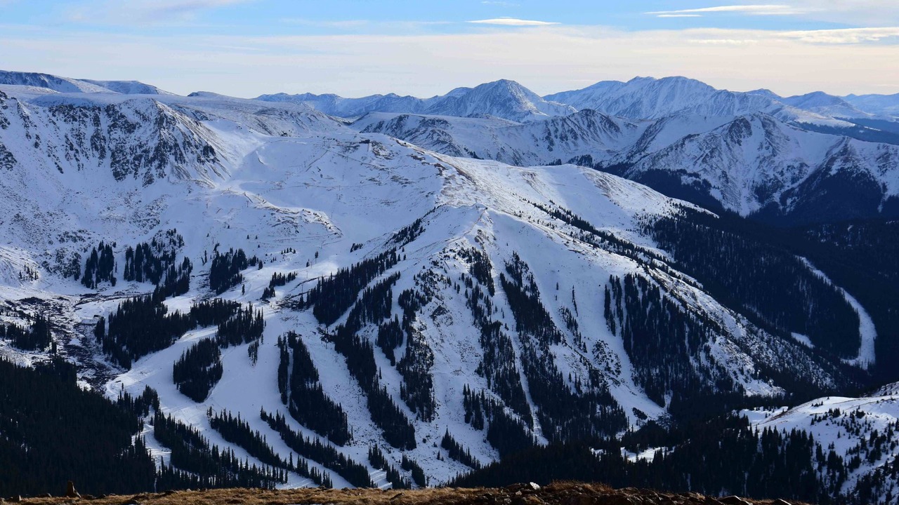 Photo of Others in Golden