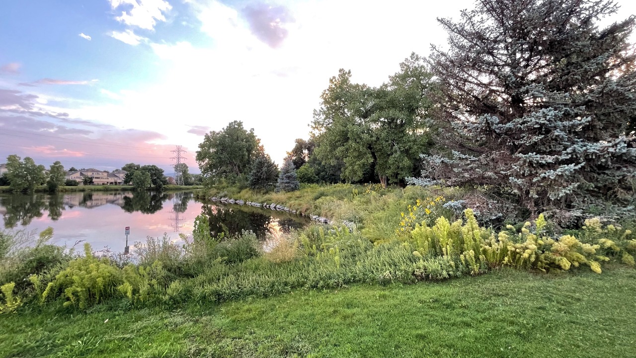 Photo of Outdoor in Arvada Plaza Area